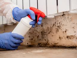 Professional Mold Removal in Cannelton, IN